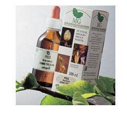 VITE 100ML MG-1
