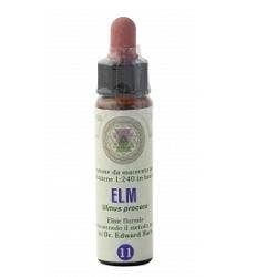 FIORI DI BACH 11 ELM GTT-1
