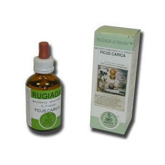Rugiada Ficus Carica 50ml  - 2