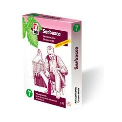 Enologico Serbasco 5 Buste 15g  - 1