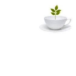 TISACELL MISC ERBE 100G TT-1