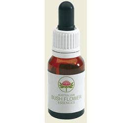 Red Grevillea Austra 15ml Gocce  - 1