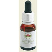 WISTERIA AUSTRALIAN 15ML GTT-1