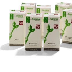 FICO INDIA 50ML MG-1