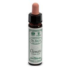 AINSWORTHS CLEMATIS 10ML-1