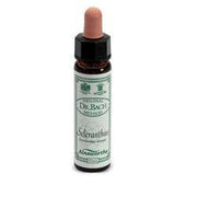 AINSWORTHS SCLERANTHUS 10ML-1