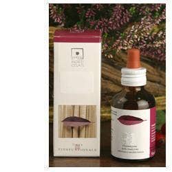 VAC VITIS/IDAEA 50ML STV-1