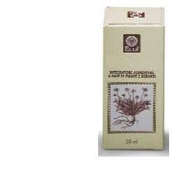 Ecol Ribes Nero Gemme Estratto Analcolico 50ml-2