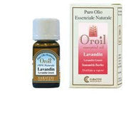 LAVANDIN GROSSO' OE 10ML-1