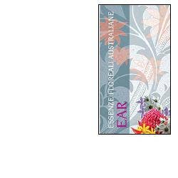 EAR 13 FL 10ML-1