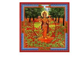 NEESHA-MA GOCCE 30ML-1