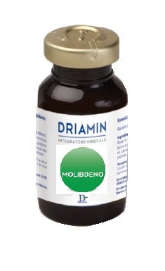DRIAMIN MOLIBDENO 10FL 15ML-2