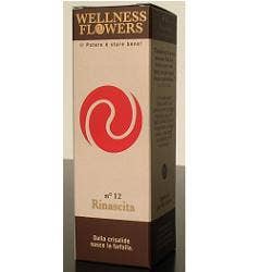 WELLNESS FLOWERS N12 50ML-1