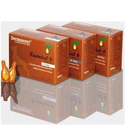 ESSENTIAL 6 SPOT ON CANE 20/40-1