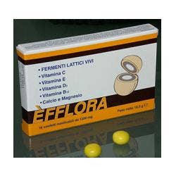 EFFLORA 15CONF-1