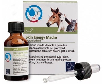 SKIN ENERGY MADRE CROTON 20ML-1