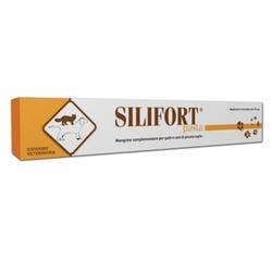 SILIFORT PASTA OS SIRINGA 30G  - 1