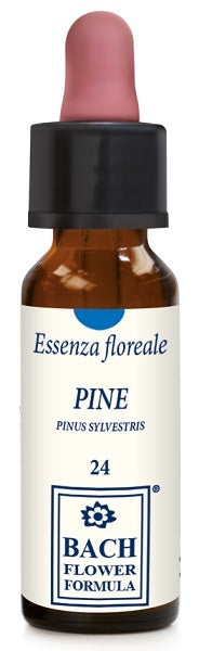 PINE ORIGINAL 10ML GTT-1