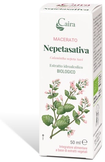 NEPETASATIVA MACERATO CAIRA-1