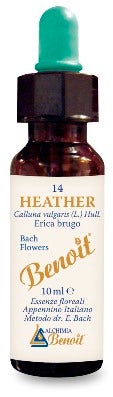 BENOIT FIORI DI BACH HEATHER-1