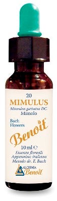 BENOIT FIORI DI BACH MIMULUS-1