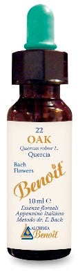 BENOIT FIORI DI BACH OAK-1