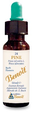 BENOIT FIORI DI BACH PINE-1