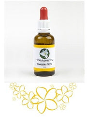 COMBINAZIONE 12 23,67G-2