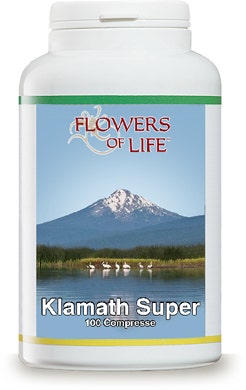 KLAMATH SUPER 100CPR FLOWERS-2
