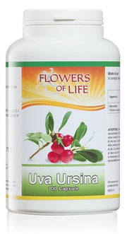 UVA URSINA 100CPS FLOWERS OF L-2
