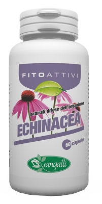 FITOATTIVI ECHINACEA 60CPS-2
