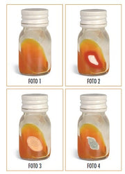 Teknofarma Dtm Dermatophite Test Medium Scatola Da 24 Pezzi-2