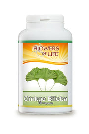 GINKGO BILOBA 100CPS FLOWERS-2