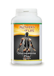 GLUCOSAMINA PLUS 100CPS FLOWE-2