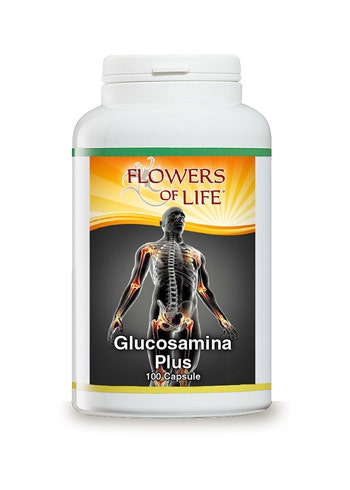 GLUCOSAMINA PLUS 100CPS FLOWE-2