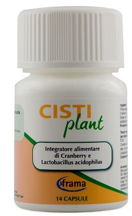 CISTIPLANT 14CPS 9G-2