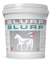 Acme Slurp Polvere Per Equini 10g-2