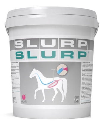 Acme Slurp Polvere Per Equini 10g-2