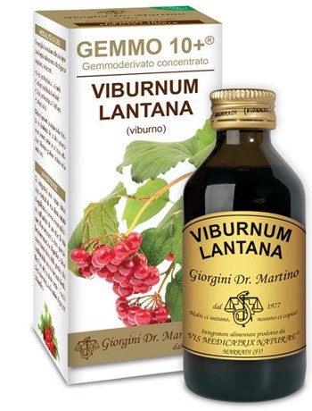 VIBURNO LIQ ANALCOLICO 100ML-1