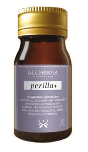 PERILLA+ 20CPR-2