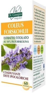 COLEUS FOR ESTR TIT 60PAST-2