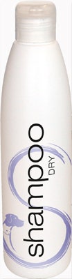 SHAMPOO DRY 250ML-1
