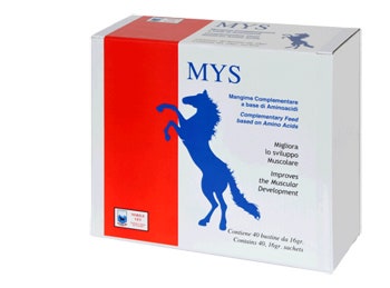 MYS 40BUST-1