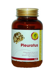 PLEUROTUS LINEA PLUS 90CPR-2