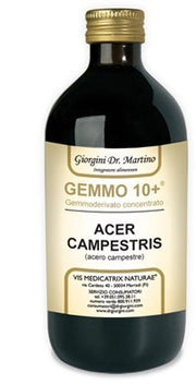 ACERO CAMP 500ML ANALCO GEM10+-1