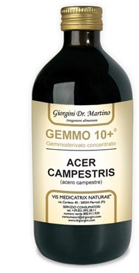 ACERO CAMP 500ML ANALCO GEM10+-1