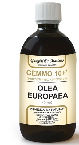 OLIVO 500ML ANALCO GEMMO 10+-1