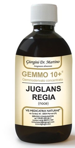 NOCE 500ML ANALCO GEMMO 10+-1