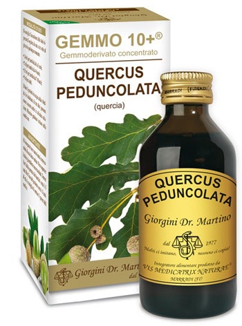 QUERCIA 100ML ANALCO GEMMO 10+-1