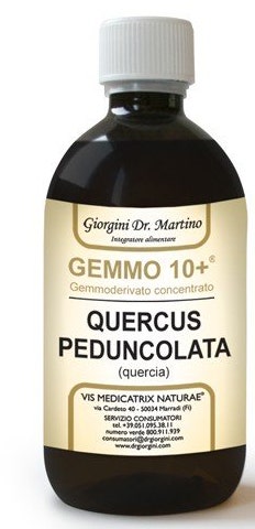 QUERCIA 500ML ANALCO GEMMO 10+-1